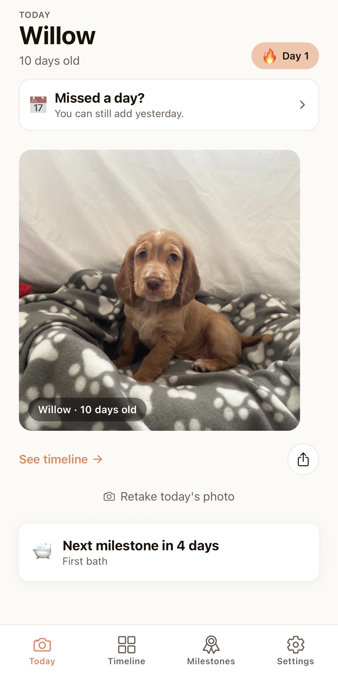 Pawgress app screenshot showing a daily photo of Willow the puppy